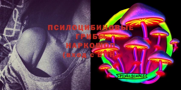 скорость Ельня