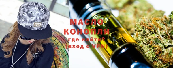 скорость Ельня