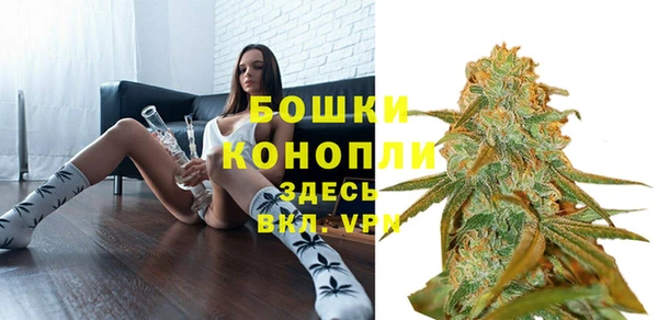 скорость Ельня