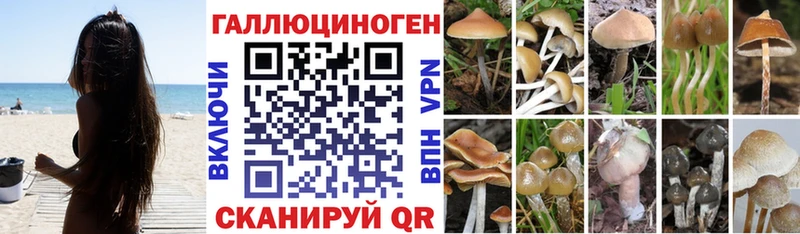 Псилоцибиновые грибы ЛСД  Инза 